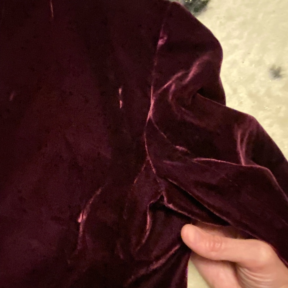 Banana Republic Velvet Blazer in Purple ☔️ - Picture 8 of 10